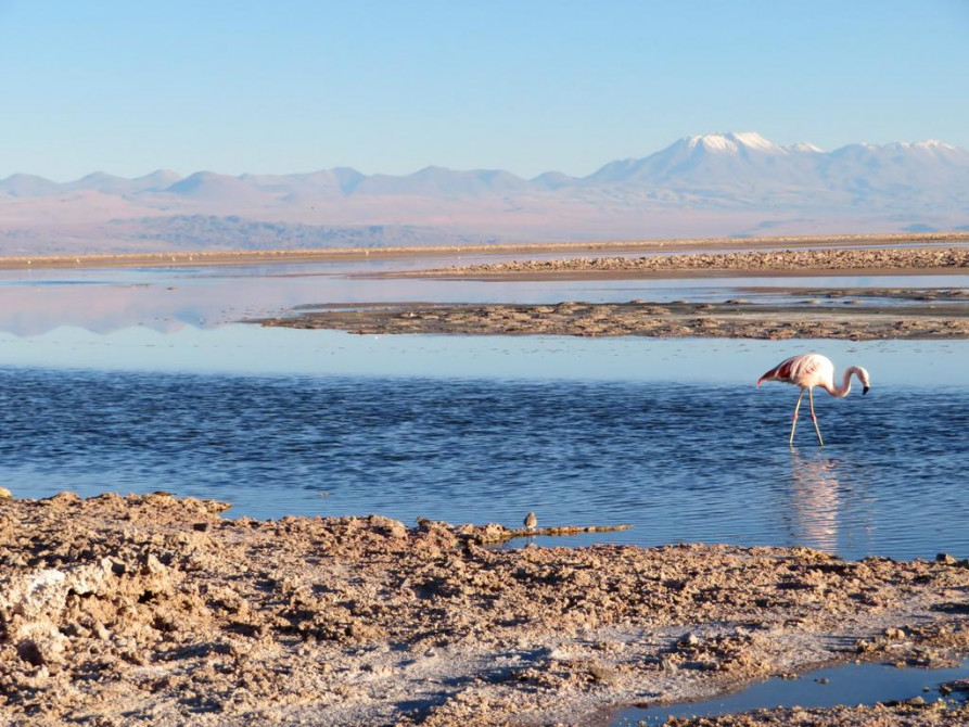 salar-atacama